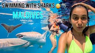 I SURVIVED swimming With NURSE SHARKS in MALDIVES 