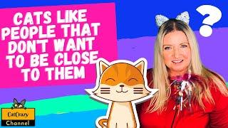 Why do cats love people that are allergic to them?  CatCrazy