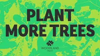 'Plant More Trees' TV Ad