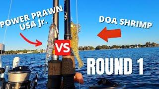 DOA Shrimp vs Power Prawn USA Jr. [Round 1]