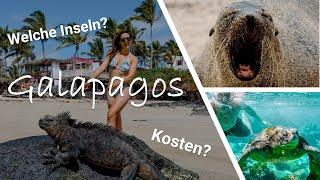 GALAPAGOS INSELN URLAUB | Kosten, Highlights & Tipps für 1 Woche Inselhopping