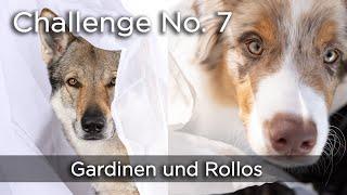 Challenge Nummer 7 - Gardinen und Rollos