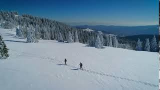 La Bresse et Je Vois la Vie en Vosges s'invitent sur TF1 - hiver 2021