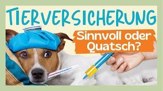 ️ KRANKHEIT KANN JEDEN HUND TREFFEN - SO IST DEIN HUND MIT UND OHNE VERSICHERUNG GUT VERSORGT 