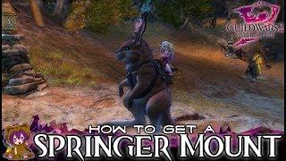 Guild Wars 2 - How to get a Springer Mount
