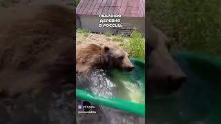 если улыбнулся ставь лайк