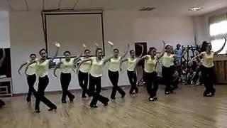 beautiful chinese dance training -- Swan Geese