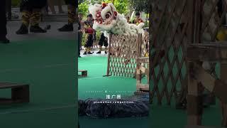 Dragon Lion SG Sport Federation | 1st Tradition Southern Lion Promotion Competition | Grand Final