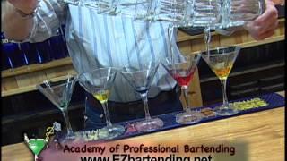 Pro Bartending School