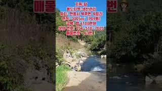 시원한 계곡가 땅 가격 900만원 인하 #안동땅 #안동부동산 #경북땅 #경북땅매매 #경북부동산 #경북토지 #의성땅 #의성부동산 #의성땅매매