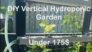 DIY Vertical Hydroponic Garden 🪴 Under 175$