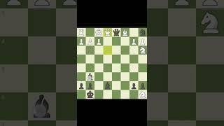 Young Magnus Vs Garry Kasparov | The Best Players in The History Of Chess