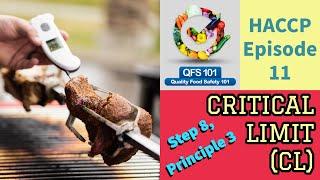 HACCP ep. 11 - CRITICAL LIMITS (HACCP step 8)