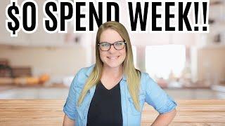 Pantry, Freezer and Fridge Cleanout | No Spend Week | Large Family What's for Dinner?