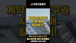 계약갱신청구권 사용 매매 알아보기 #shorts #부동산 #계약갱신청구권