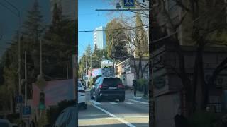Невероятный новогодний Сочи 01.2025 #житьвсочи