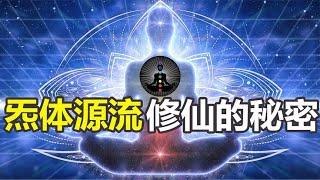 “炁体源流”之谜，人类体内隐藏着一套看不见的生命系统？