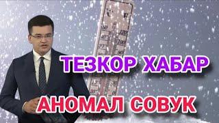 Тезкор хабар  Узбекистонда аномал совук булади