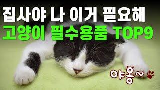 고양이 필수용품, 초보집사라면 놓치지 말고 시청하세요! BEST 9 고양이용품