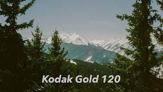 A Kodak Gold Road Trip