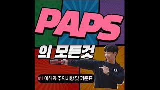 PAPS(팝스) 이해 및 주의사항, 팝스의 모든것, 체육수업, 교실수업,체육온라인수업, 팝스, 팝스이론,팝스기준, 기준표, 팝스이해하기, PAPS,교실체육