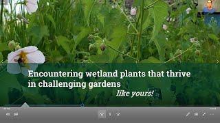 2020 Wildscapes: Encountering Wetland Plants by Mary Carol Edwards