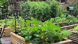 Raised Bed Gardening!!!!