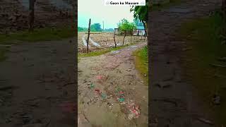 gaon ka mousam #shorts️ #viralvideo #youtube #motivation #song ️