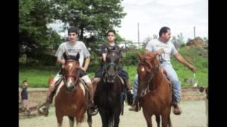 Deir Debwan Horses