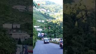 Kurseong Road View #youtubshorts #shortvideo #World Explorer Suman