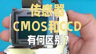 相機傳感器：CMOS和CCD，兩者有什麼區別？| 攝影知識科普