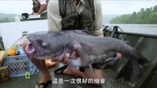 國家地理頻道 尋找超級大魚 全新第四季 Monster Fish 4