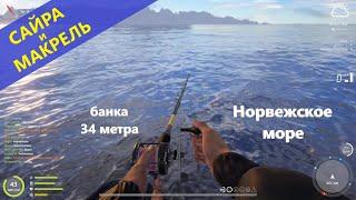 Русская рыбалка 4 - Норвежское море - Сайра и макрель