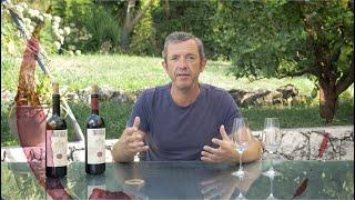 Brad Tastes the Iconic Tignanello 2012 and 2018 Vintages