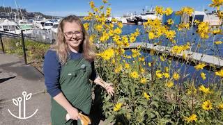 Day in the Life of a Landscaper | Waterfront Pastoral