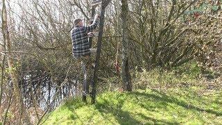 Archery Practice - Bowhunting situations - Treestand practice