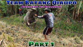 Team Batang Qiaupo ng bulakid karyada ng Kalabaw Part 1