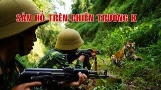 Vài câu chuyện săn hổ rừng trên chiến trường K