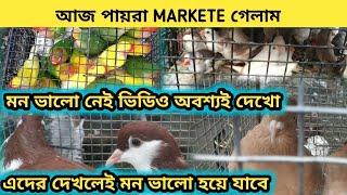 PIGEON MARKET । PIGEON NAMASTE । PAIRA MARKET ajke pairar market ghurte gelam