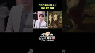 그리스로마신화 여신, 헤라 찾는 방법 #shorts | MBN 신들의사생활2