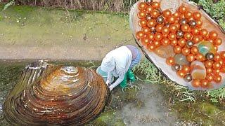 Unexpected fortune, picking up agate stones, taking out orange pearls from big river mussels