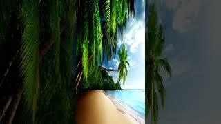 relaxing music piano sleep 2959