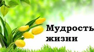 Как стать лучше? Самосовершенствование и саморазвитие – лучшая работа над собой.