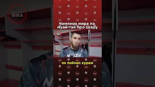 ️Бейбулат Исаев про перспективы Шары Буллета в UFC #mma #мма #ufc #юфс
