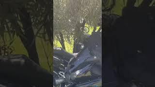 Biker- Valhalla Day Jol South Africa