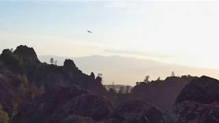 The Last Crowd - California Condors 463, 692 and 726 Converge and Depart