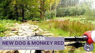 Cannock Chase Follow The Dog and Monkey Trails 2021 Pt1