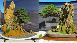 INSPIRASI BONSAI ON THE ROCK AND PENJING