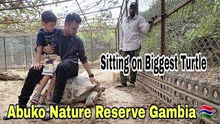We Found Black Cobra, Hippopotamus Head, Hyenas, Biggest Turtles And Monkeys in Africa's Jungle