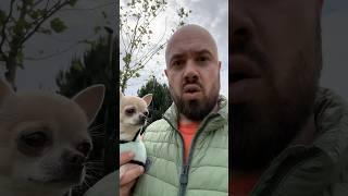 This Tiny Dog Surprised Everyone!